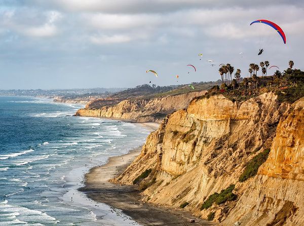 Collins, Ann 아티스트의 USA-California-La Jolla Paragliders soar over Blacks Beach작품입니다.